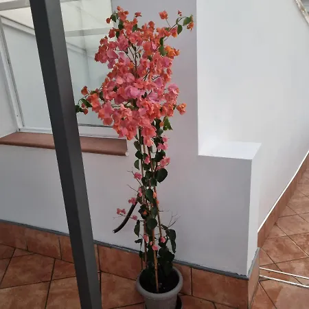 Apartmán Santiago Del Teide Room *