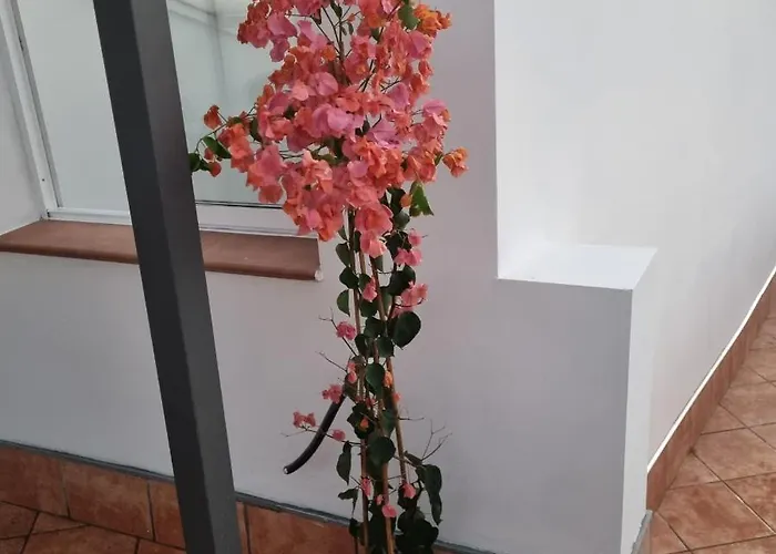 Apartmán Santiago Del Teide Room *